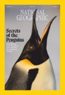 National Geographic May 01, 2025 Issue Cover