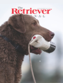 The Retriever Journal June 01, 2024 Issue Cover