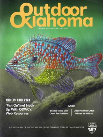 Outdoor Oklahoma March 01, 2024 Issue Cover