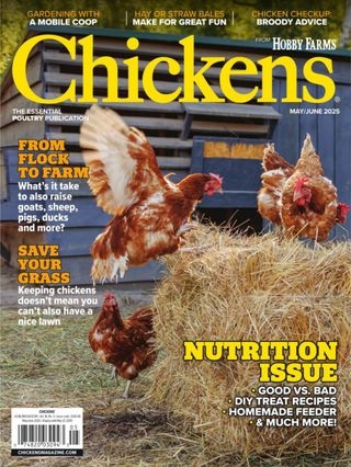 Chickens May 01, 2025 Issue Cover